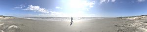 sunny beach full of tranquility
