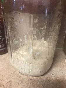 Sourdough starter