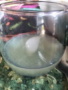 Homemade Margarita