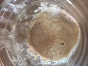 overhead shot of sourdough